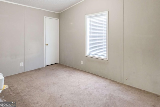 carpeted spare room featuring a textured ceiling and ornamental molding