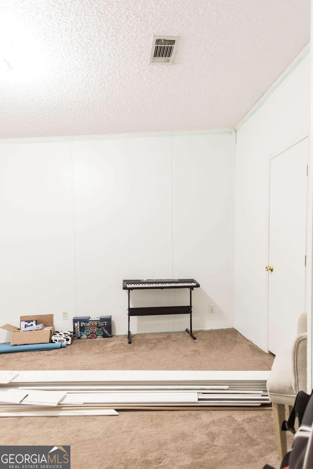 misc room with a textured ceiling and carpet flooring