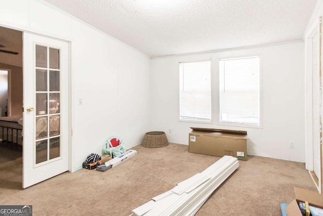 misc room featuring light colored carpet, a textured ceiling, and french doors