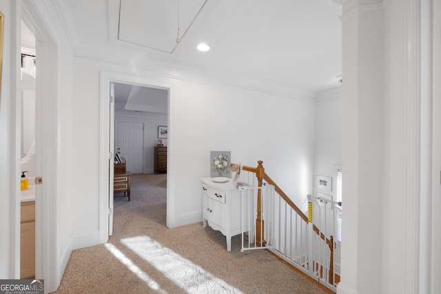 hall featuring carpet and ornamental molding