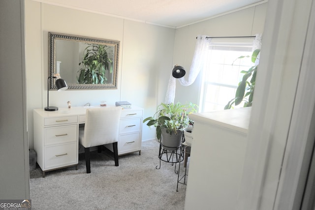 office space featuring crown molding and light colored carpet