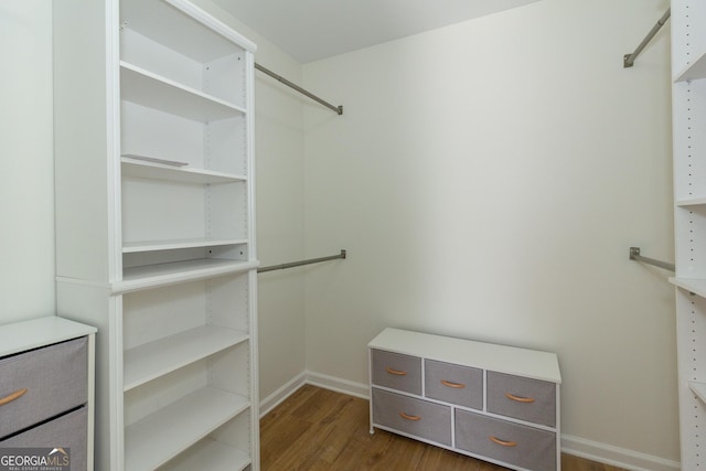 spacious closet featuring dark wood-type flooring