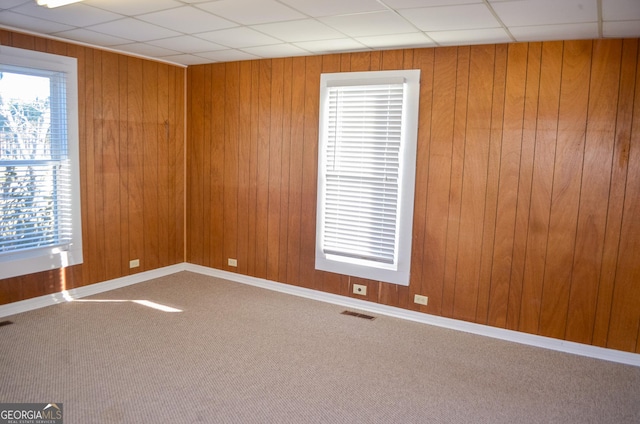 empty room featuring carpet and wooden walls