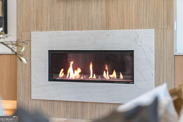 interior details with a premium fireplace