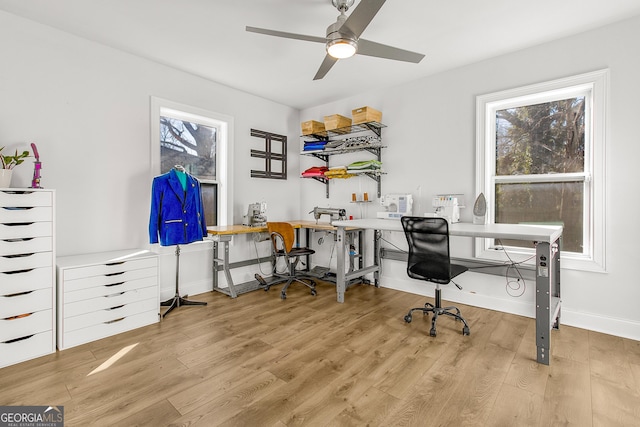 office space with ceiling fan, a wealth of natural light, and light hardwood / wood-style flooring