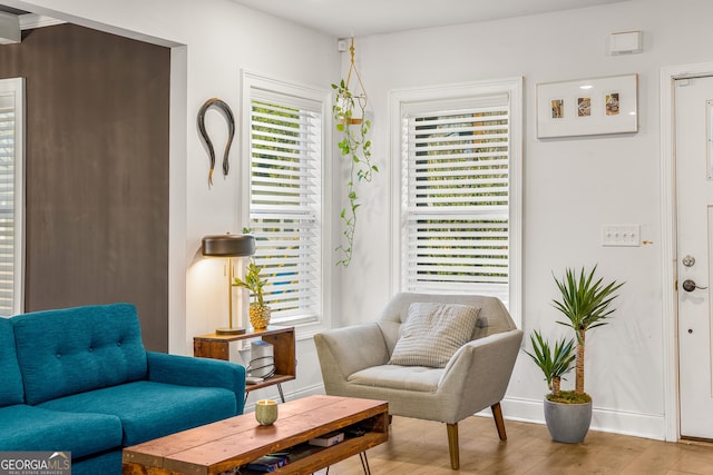 living area featuring a healthy amount of sunlight and light hardwood / wood-style floors