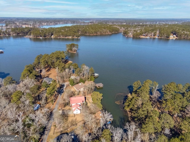 aerial view with a water view