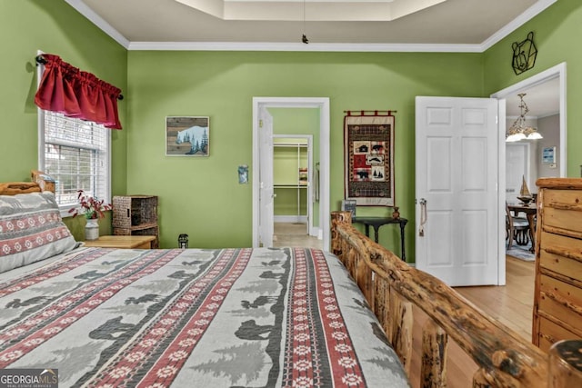 bedroom with a spacious closet, light hardwood / wood-style floors, a raised ceiling, a closet, and crown molding