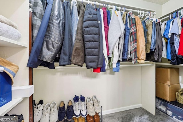 walk in closet featuring carpet floors