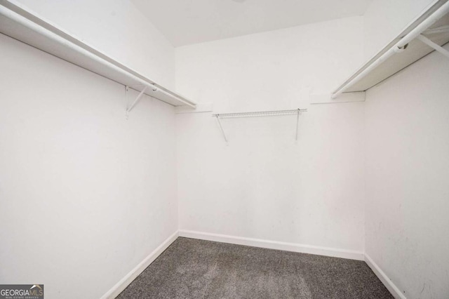 spacious closet featuring carpet flooring