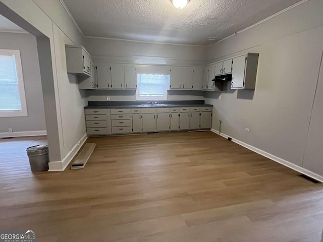 kitchen featuring sink, a textured ceiling, light hardwood / wood-style flooring, and a healthy amount of sunlight