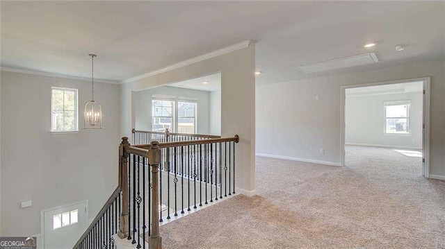 corridor with carpet, crown molding, a wealth of natural light, and a notable chandelier