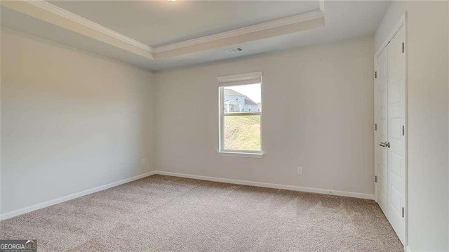 spare room with light carpet, ornamental molding, and a raised ceiling