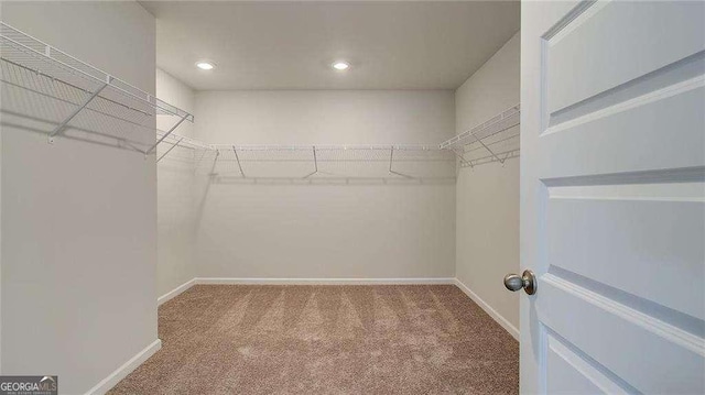 walk in closet featuring carpet flooring