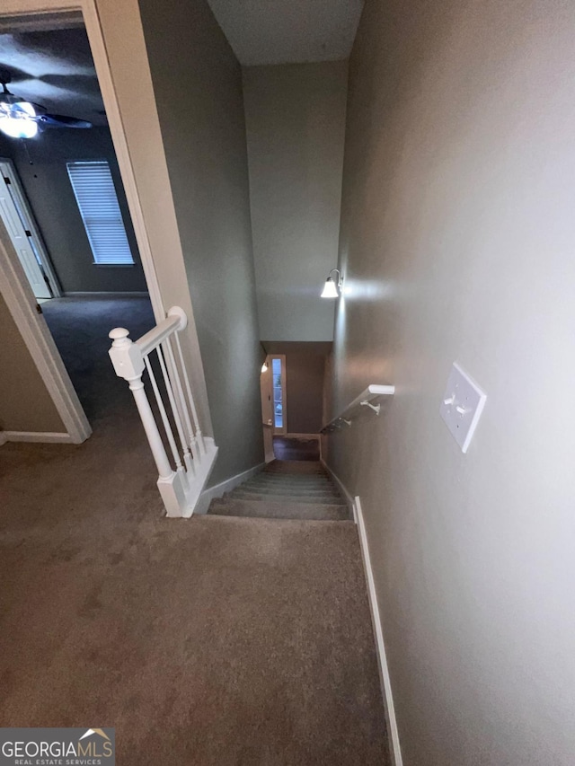 stairway featuring carpet floors and ceiling fan