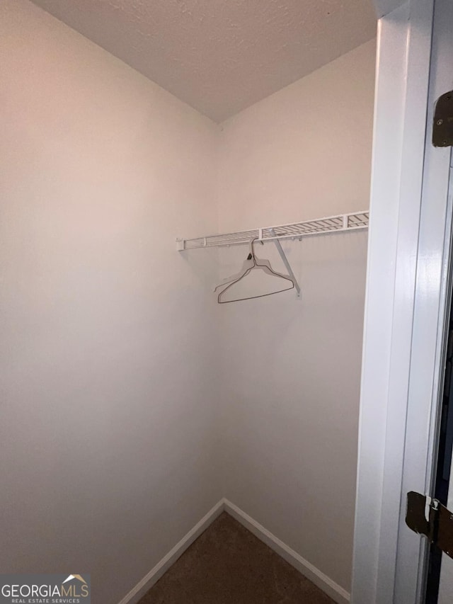 spacious closet with carpet