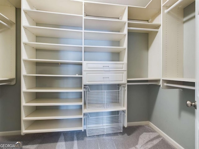 spacious closet with carpet flooring