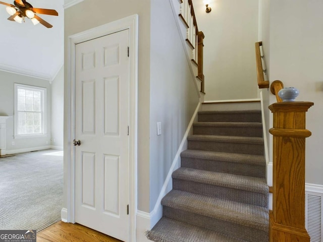 stairs featuring ceiling fan, carpet floors, crown molding, and lofted ceiling