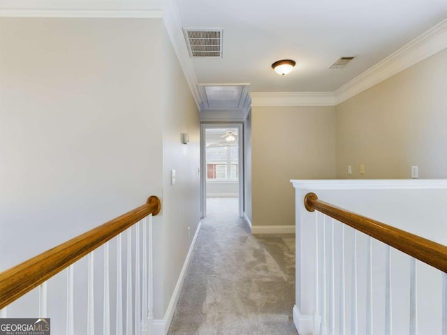 corridor featuring crown molding and light carpet