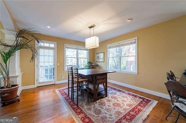 dining area with hardwood / wood-style flooring