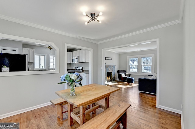 dining room featuring crown molding, hardwood / wood-style floors, and a wealth of natural light