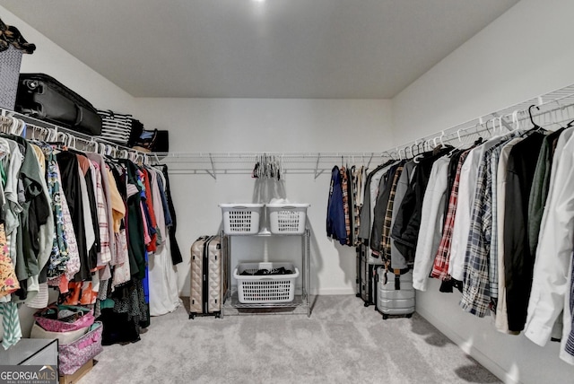 walk in closet featuring carpet