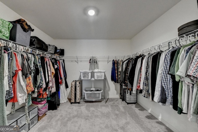 walk in closet with carpet flooring