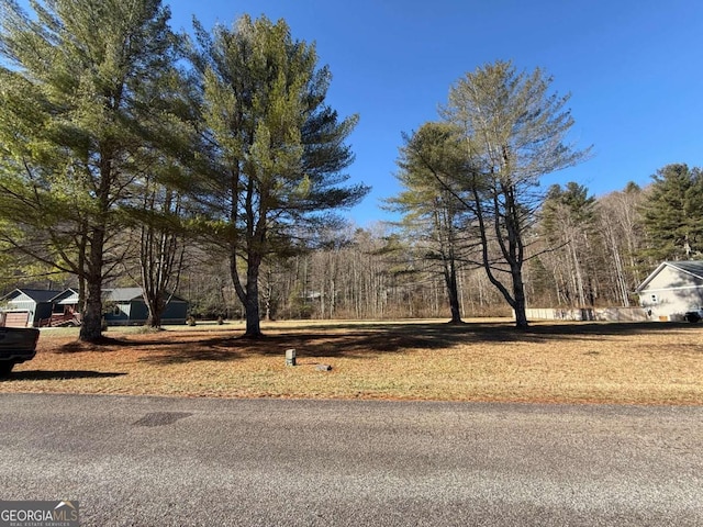 LOT77 Big Pine Dr, Hiawassee GA, 30546 land for sale