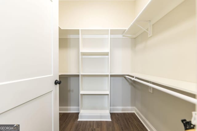 spacious closet featuring dark hardwood / wood-style floors