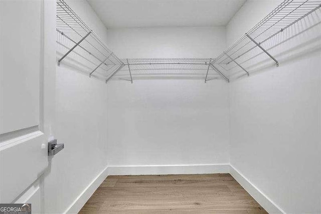 walk in closet with wood-type flooring