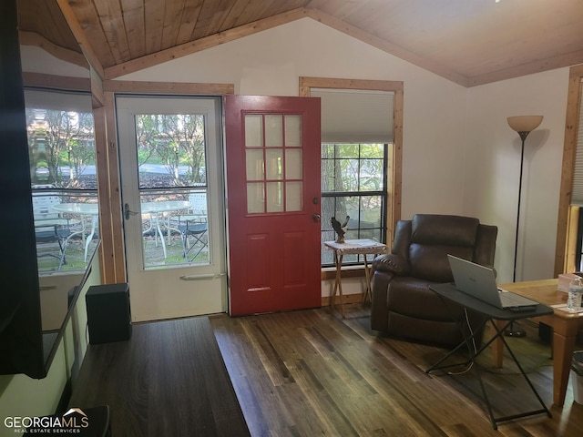 interior space with lofted ceiling and dark wood-type flooring