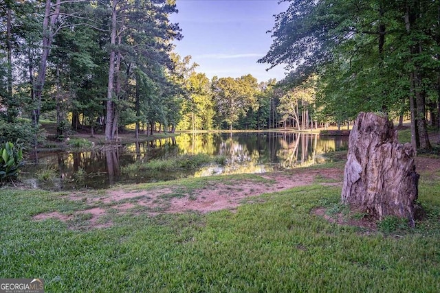 view of yard with a water view