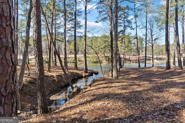 view of yard featuring a water view