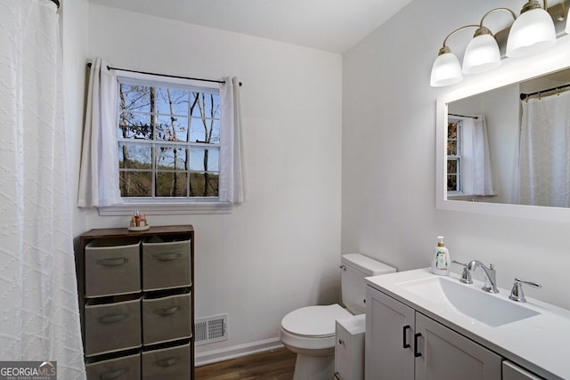 bathroom featuring toilet, vanity, and wood-type flooring