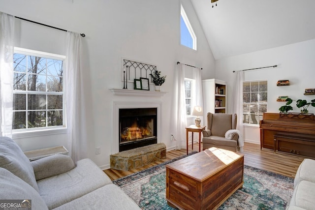 living room featuring high vaulted ceiling, wood-type flooring, and a stone fireplace