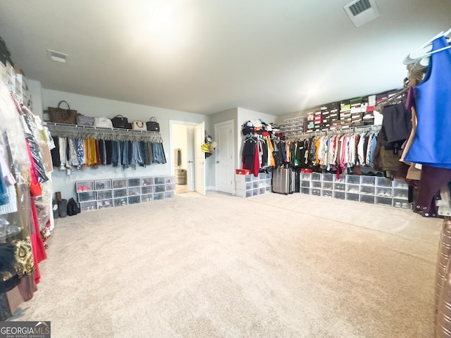 walk in closet with carpet