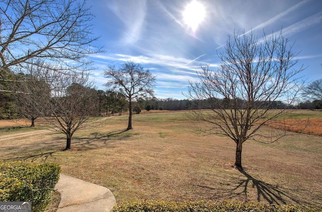 view of yard featuring a rural view