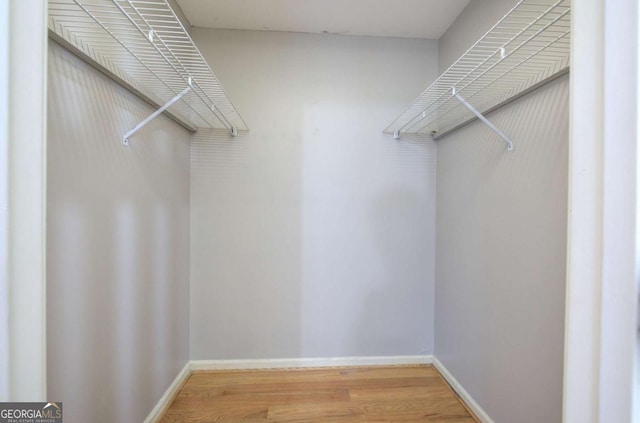 spacious closet featuring wood-type flooring