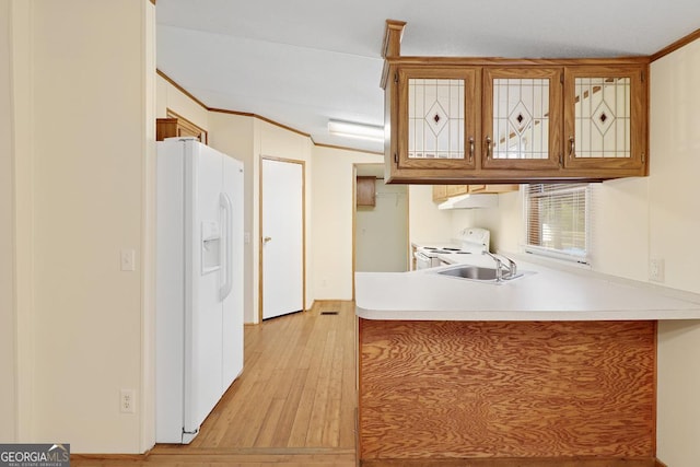 kitchen featuring sink, light hardwood / wood-style flooring, and white appliances