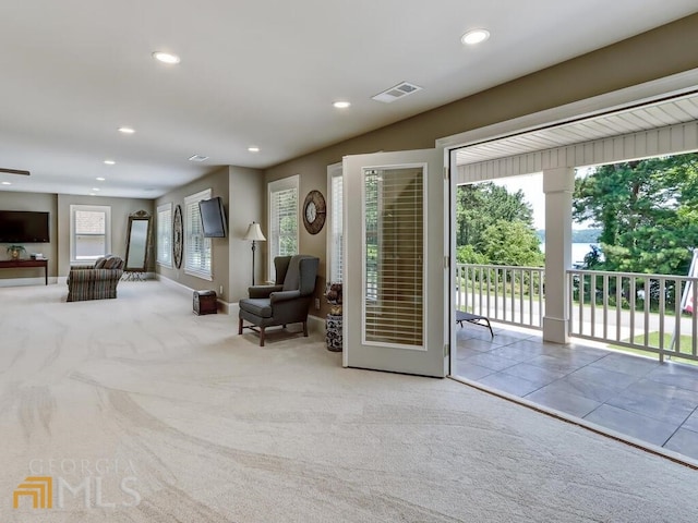 doorway with light carpet and a wealth of natural light