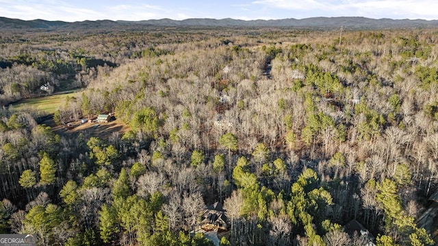 birds eye view of property featuring a mountain view