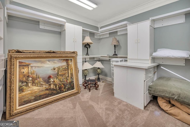 walk in closet featuring light colored carpet