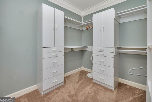 spacious closet with light carpet