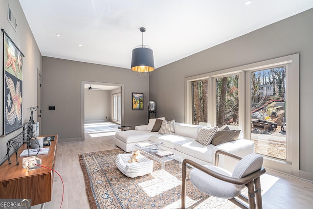 living room featuring light hardwood / wood-style floors