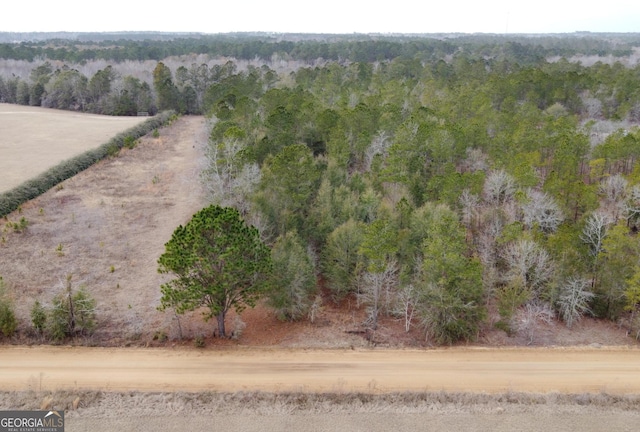 0 Ben Grady Collins Rd, Statesboro GA, 30458 land for sale