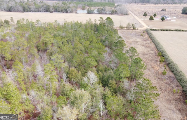 Listing photo 3 for 0 Ben Grady Collins Rd, Statesboro GA 30458