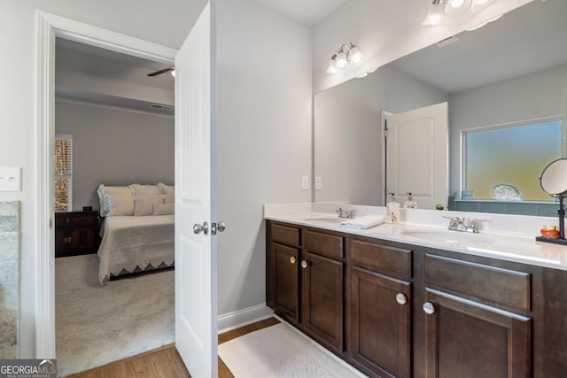 bathroom with hardwood / wood-style flooring and vanity