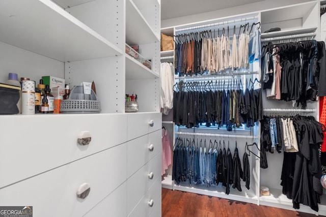 walk in closet with dark hardwood / wood-style floors