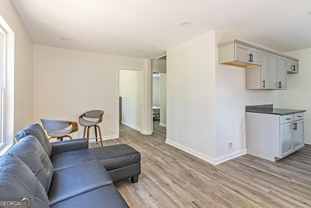 living room with light hardwood / wood-style flooring