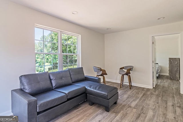 living room with hardwood / wood-style floors